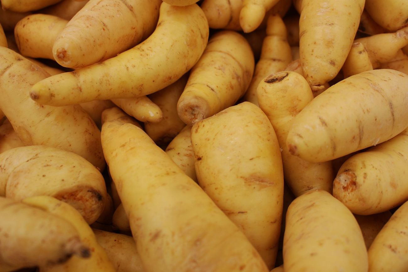 Patate allungate